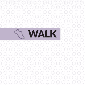 Walk: Learning To Walk (eBook)