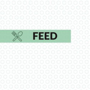 Feed: Learning To Feed Yourself (eBook)