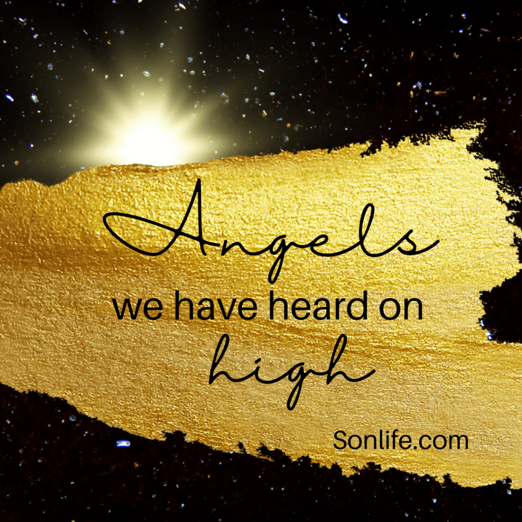 Good News Great Joy Sonlife